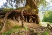Auf den Denneberg entlang der Weissach durch das Ehrenschwanger Tal
