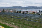 Wanderung auf dem Bodanrücken