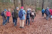 Gelungener Jahresabschluß