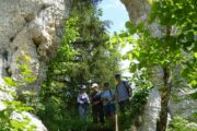 Wanderung auf der Alb an der Lauchert und Fehla
